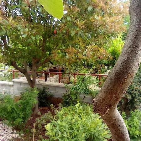 Apartment Anica *