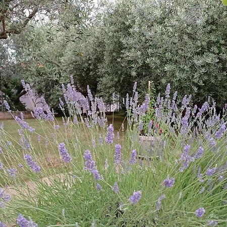Apartment Anica Pula
